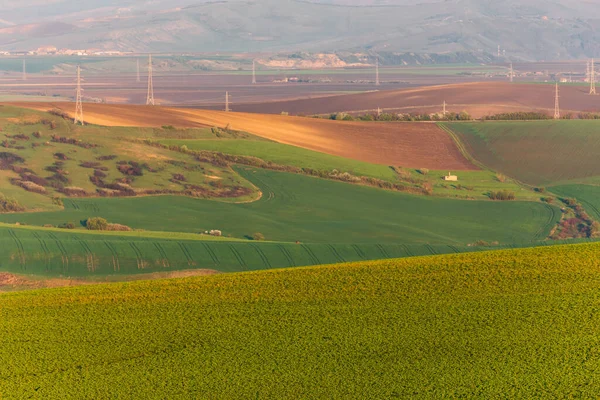Rollende Heuvels Het Voorjaar Landbouwgrond — Stockfoto