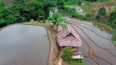 Aerial view of beautiful and freshly planted rice terraces in rainy season.