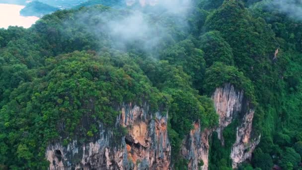 Vista Della Natura Maestosa Della Thailandia — Video Stock