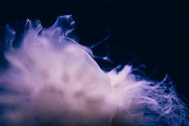 Hayalet denizanasının yakın plan detayları.