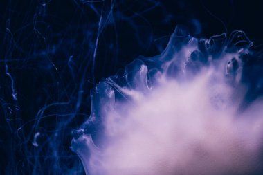 Hayalet denizanasının yakın plan detayları.