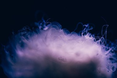 Hayalet denizanasının yakın plan detayları.