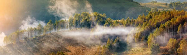 Paysage Broussailleux Matin Avec Des Arbres — Photo