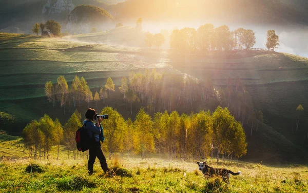 Photographer and her dog taking pictures of beautiful misty and foggy morning in golden hour on a peaceful meadow.