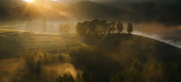 多雾的晨景 绿树成荫 — 图库照片