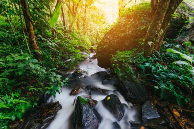 Chiang Mai 'deki Doi Inthanon Ulusal Parkı' nda Tropik Mae Pan Şelalesi.