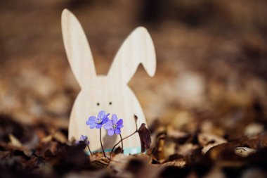 Ormanda bahar çiçekleriyle Paskalya tavşanı.