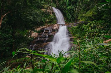 Chiang Mai 'deki Doi Inthanon Ulusal Parkı' nda Tropik Mae Pan Şelalesi.