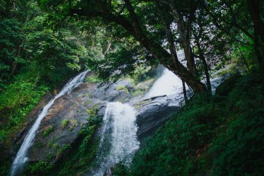 Chiang Mai 'deki Doi Inthanon Ulusal Parkı' nda Tropik Mae Pan Şelalesi.