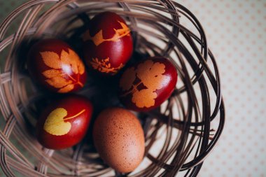 Geleneksel olarak boyanmış Paskalya yumurtaları soğan kabuklarıyla boyanmış ve bitki desenleri var..