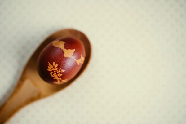 Традиционно Окрашенное Пасхальное Яйцо Окрашенное Луковой Кожурой Рисунком Растений — стоковое фото