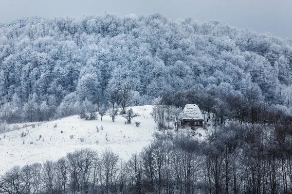 Vinterlandskap Med Snötäckta Träd — Stockfoto