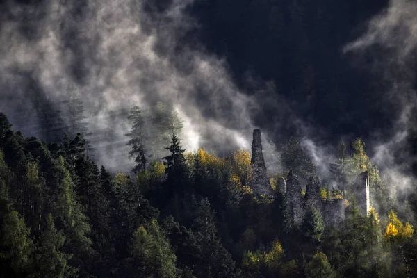 Silhouette of forest with dense fog.