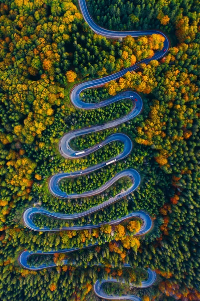 Drone Widok Lasu Węża Drogowego Jesienią Kolorowych Drzew — Zdjęcie stockowe