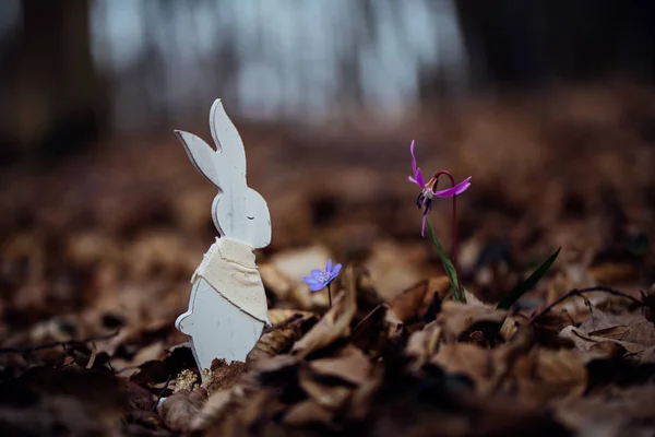 Easter Bunny Woods Spring Flowers — Stock Photo, Image