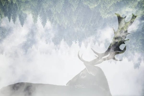 鹿の角を持つ二重露出 ロイヤリティフリーのストック画像