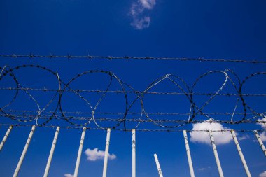 Dikenli teller. Göçmenlik temalı resim. 