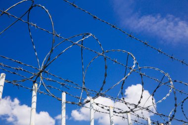 Dikenli teller. Göçmenlik temalı resim. 