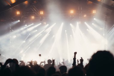 Sahne ışıkları ve bir müzik festivalinde elleri havada seyirci kalabalığı. Taraftarlar parti havasını seviyor.