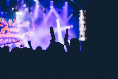Sahne ışıkları ve bir müzik festivalinde elleri havada seyirci kalabalığı. Taraftarlar parti havasını seviyor.