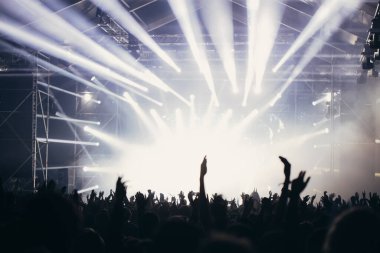 Sahne ışıkları ve bir müzik festivalinde elleri havada seyirci kalabalığı. Taraftarlar parti havasını seviyor.
