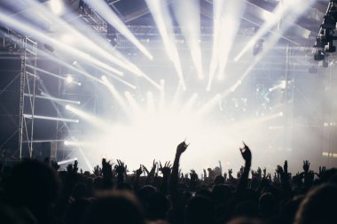 Sahne ışıkları ve bir müzik festivalinde elleri havada seyirci kalabalığı. Taraftarlar parti havasını seviyor.