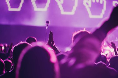 Sahne ışıkları ve bir müzik festivalinde elleri havada seyirci kalabalığı. Taraftarlar parti havasını seviyor.