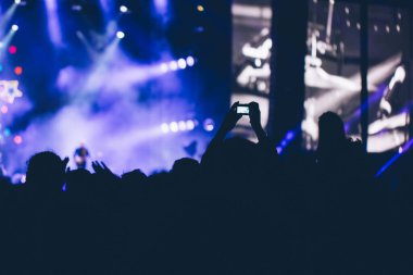 Sahne ışıkları ve bir müzik festivalinde elleri havada seyirci kalabalığı. Taraftarlar parti havasını seviyor.