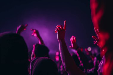 Sahne ışıkları ve bir müzik festivalinde elleri havada seyirci kalabalığı. Taraftarlar parti havasını seviyor.