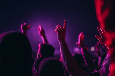 Sahne ışıkları ve bir müzik festivalinde elleri havada seyirci kalabalığı. Taraftarlar parti havasını seviyor.