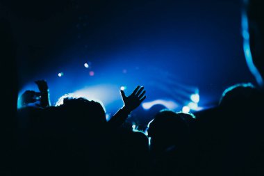 Sahne ışıkları ve bir müzik festivalinde elleri havada seyirci kalabalığı. Taraftarlar parti havasını seviyor.