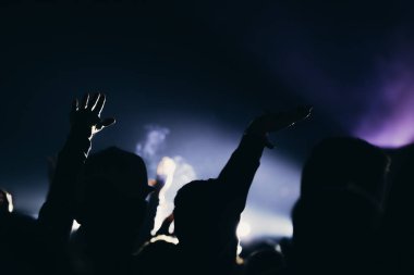 Sahne ışıkları ve bir müzik festivalinde elleri havada seyirci kalabalığı. Taraftarlar parti havasını seviyor.