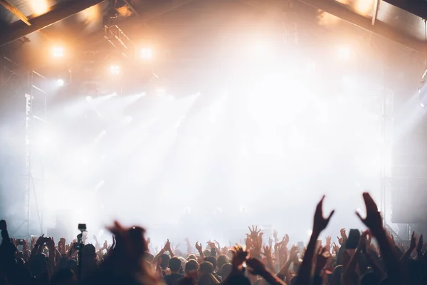 Sahne ışıkları ve bir müzik festivalinde elleri havada seyirci kalabalığı. Taraftarlar parti havasını seviyor.