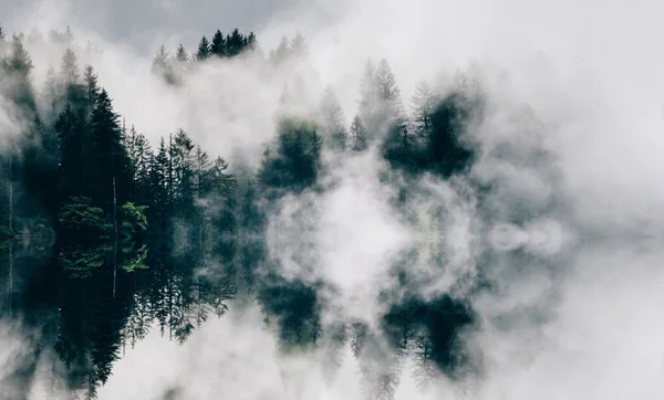 Abstraktes Bild Mit Nebligem Wald Der Wie Schallwellen Aussieht — Stockfoto