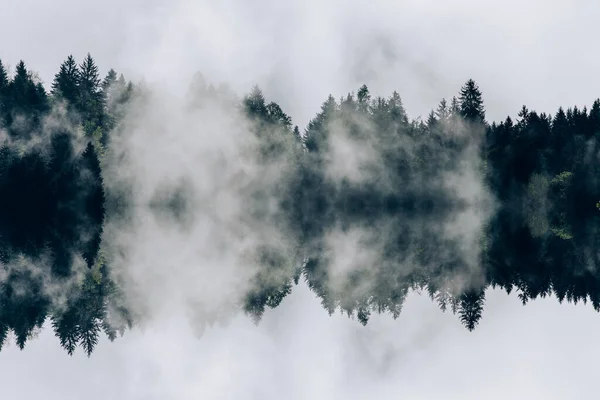 Abstraktes Bild Mit Nebligem Wald Der Wie Schallwellen Aussieht — Stockfoto