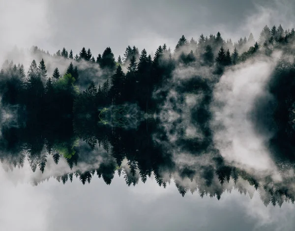 Abstraktes Bild Mit Nebligem Wald Der Wie Schallwellen Aussieht — Stockfoto