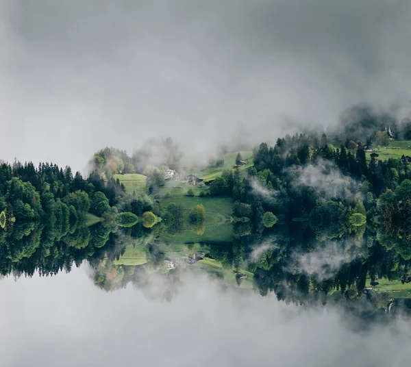 Abstraktes Bild Mit Nebligem Wald Der Wie Schallwellen Aussieht — Stockfoto