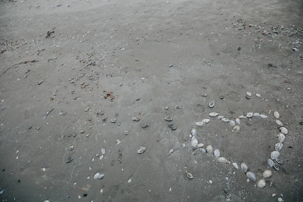 Heart Shape Created Sea Shells Sea Holidays Background — Stock Photo, Image