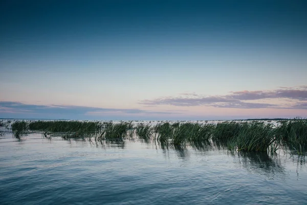 Scoprite Delta Del Danubio Romania Riserva Naturale Con Canyon Bellissimi — Foto Stock