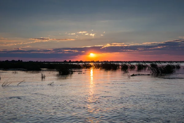 Discover the Danube Delta, Romania. Natural reserve with canyons and beautiful sunsets. Boat trips and excursions.