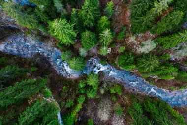 Creek winding through cliffs and forests seen from a drone
