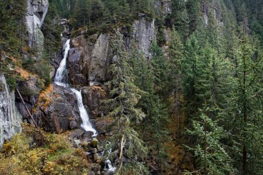 Bir şelale / nehrin uzun pozlama resmi.