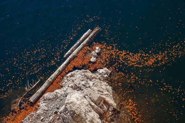 Прекрасний Вид Блакитне Озеро Горах Восени — стокове фото