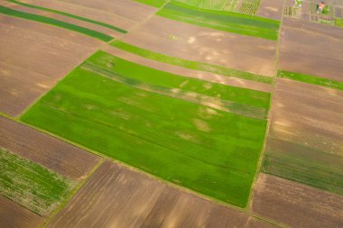 Baharda boş tarım alanlarının insansız hava aracı görünümü.