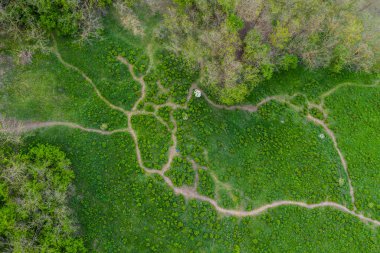 İnsansız hava aracından görünen bozkır şakayıkları ile güzel bir manzara. Avrupa 'da eşsiz bir yer. Bu çiçeklerin yetiştiği tek yer Romanya, Transilvanya..