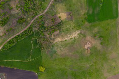 İnsansız hava aracından bir koyun sürüsüyle manzara