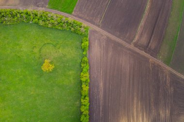 İlkbaharda kıvrımlı yollar ve boş tarım alanları.