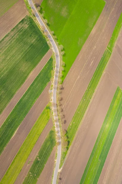 Drone Uitzicht Lege Landbouwvelden Het Voorjaar — Stockfoto