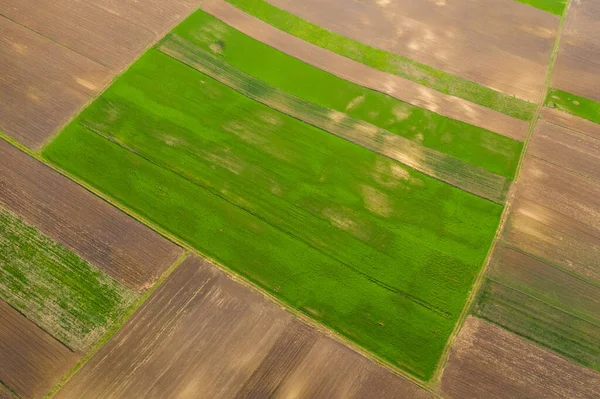 Drone Uitzicht Lege Landbouwvelden Het Voorjaar — Stockfoto