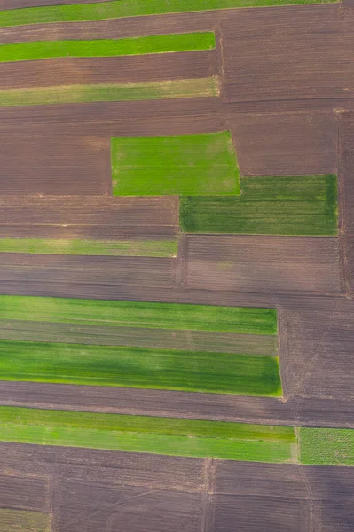 Drone Uitzicht Lege Landbouwvelden Het Voorjaar — Stockfoto